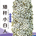 矮杆白粱种子，高产抗病高粱种子