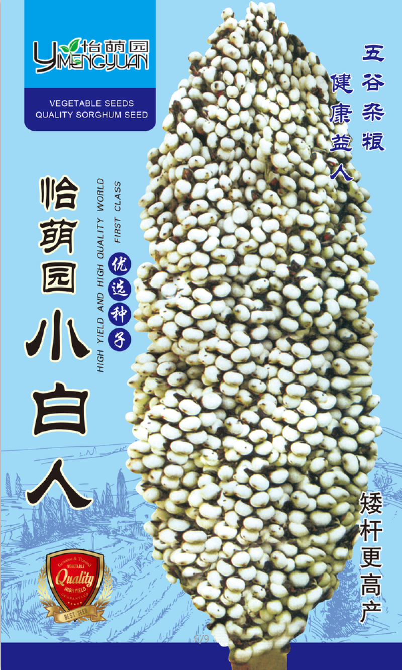 矮杆白粱种子，高产抗病高粱种子