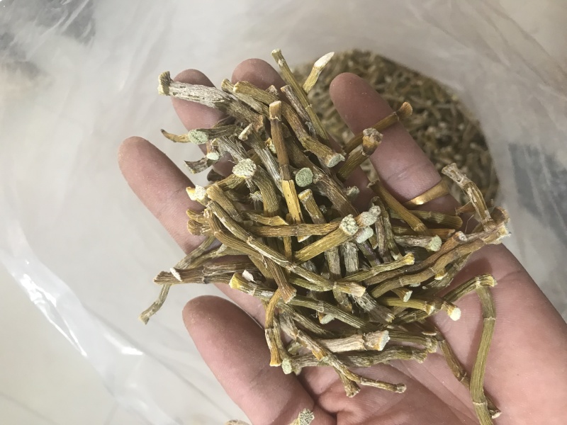 霍山仿野生铁皮石斛干条寸条枫斗化渣胶质好500克