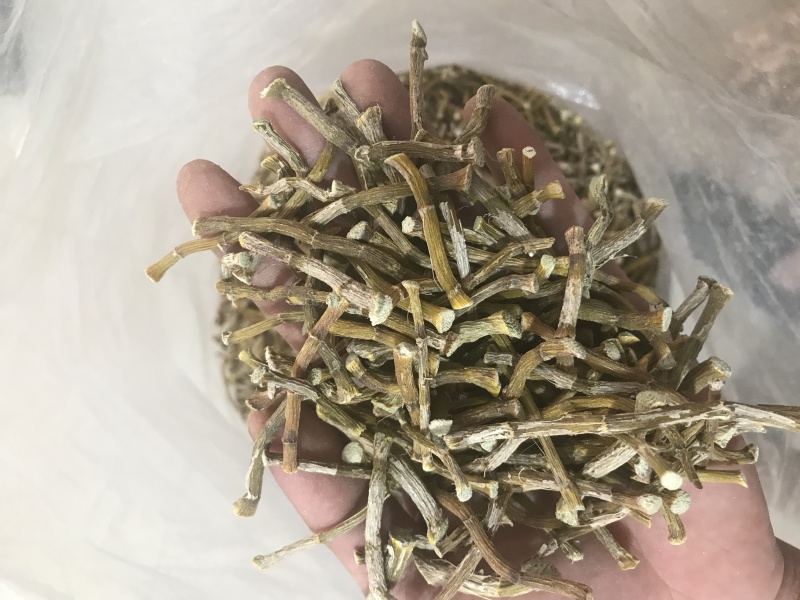 霍山仿野生铁皮石斛干条寸条枫斗化渣胶质好500克