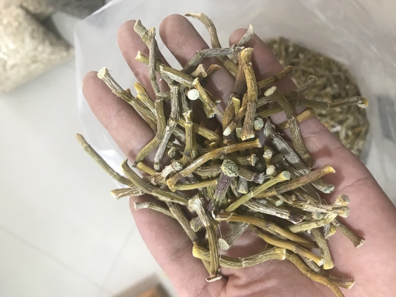 霍山仿野生铁皮石斛干条寸条枫斗化渣胶质好500克