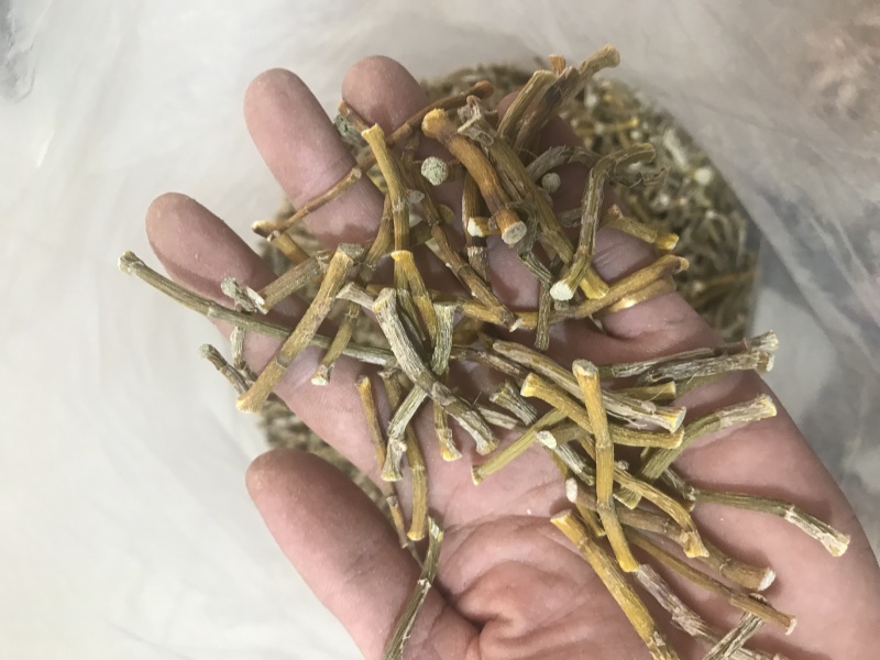 霍山仿野生铁皮石斛干条寸条枫斗化渣胶质好500克