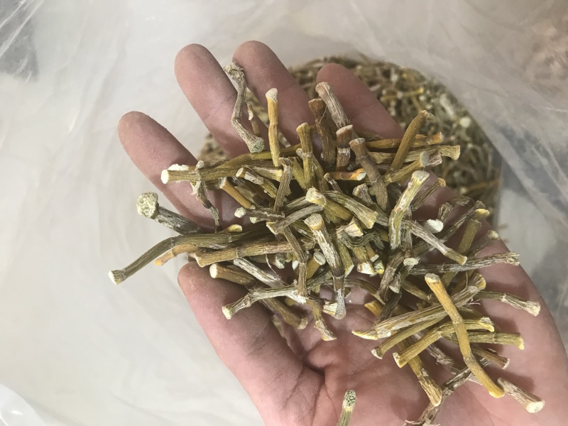 霍山仿野生铁皮石斛干条寸条枫斗化渣胶质好500克