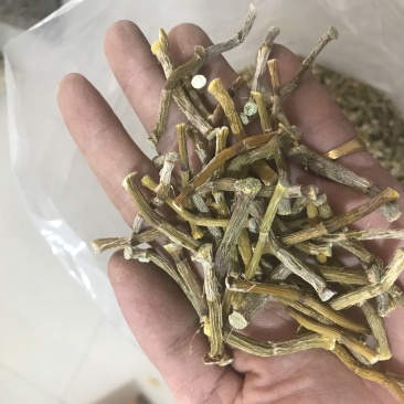 霍山仿野生铁皮石斛干条寸条枫斗化渣胶质好500克