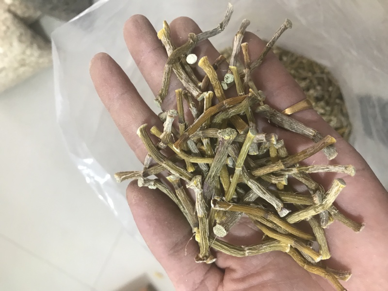 霍山仿野生铁皮石斛干条寸条枫斗化渣胶质好500克