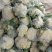 河南开封精品《有机花菜》松花菜产地直发一手货源一条龙服务