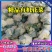 河南开封精品《有机花菜》松花菜产地直发一手货源一条龙服务