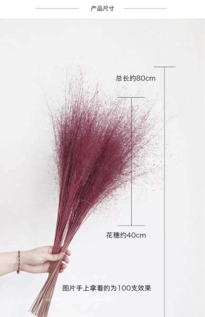 粉黛乱子草花束干花粉黛草花束粉黛草干花基地直发大量上市