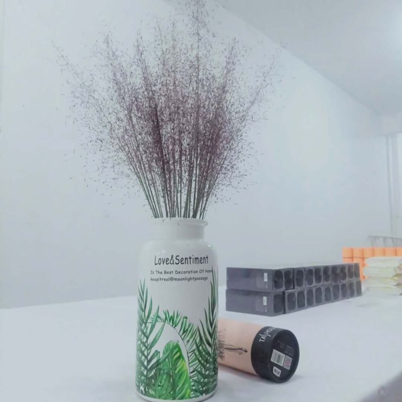 粉黛乱子草花束干花粉黛草花束粉黛草干花基地直发大量上市