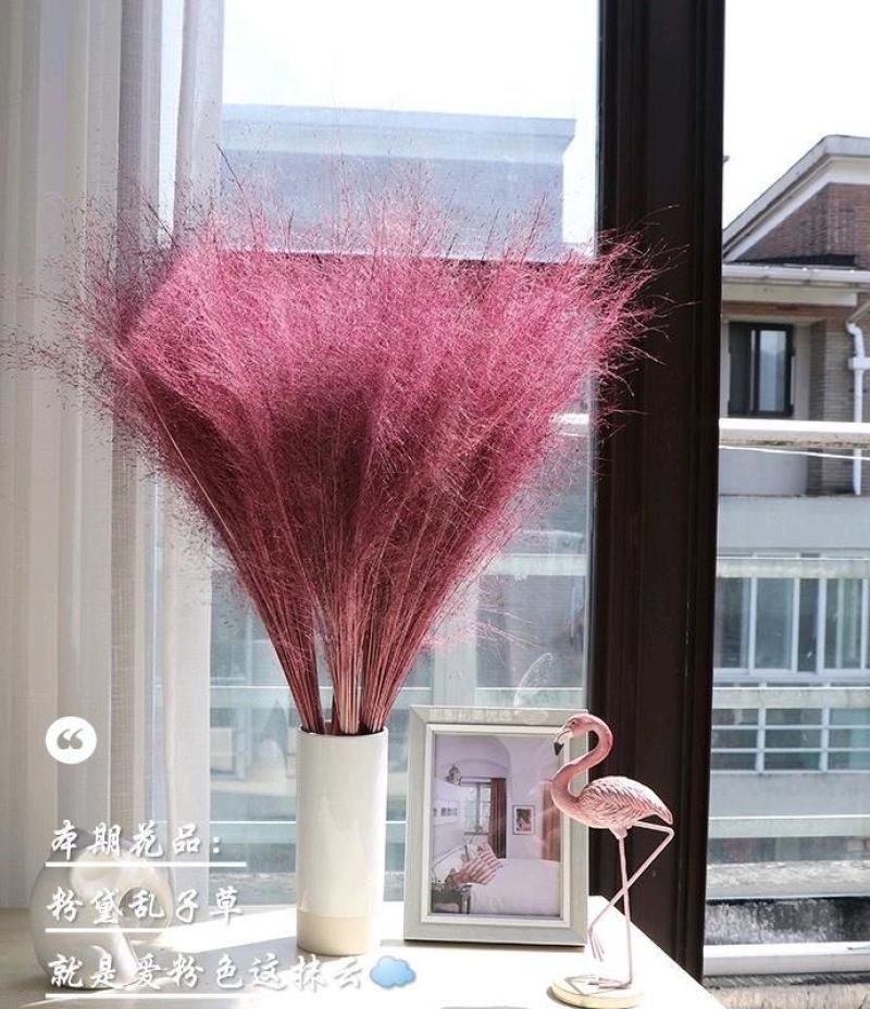 粉黛乱子草花束干花粉黛草花束粉黛草干花基地直发大量上市