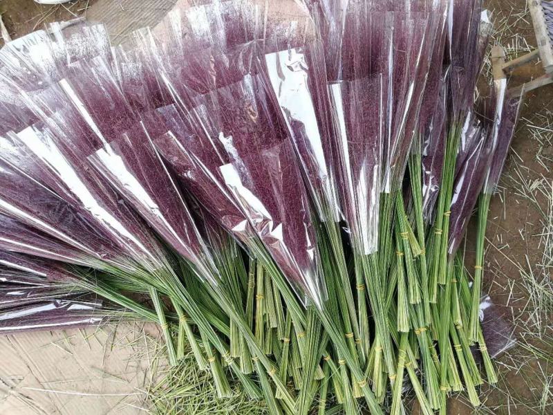 粉黛乱子草花束干花粉黛草花束粉黛草干花基地直发大量上市