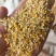 大量现货销售优质碎玉米，加工精细，价格实惠