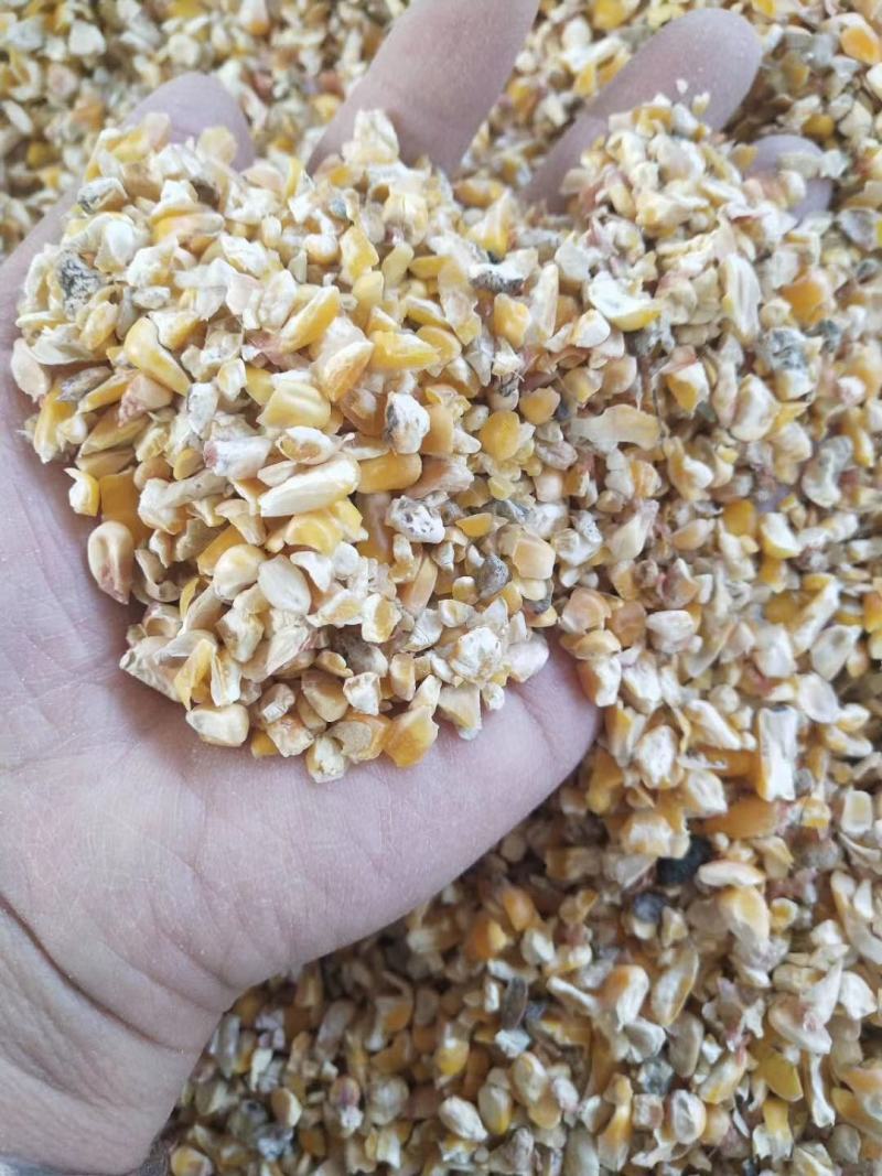 大量现货销售优质碎玉米，加工精细，价格实惠