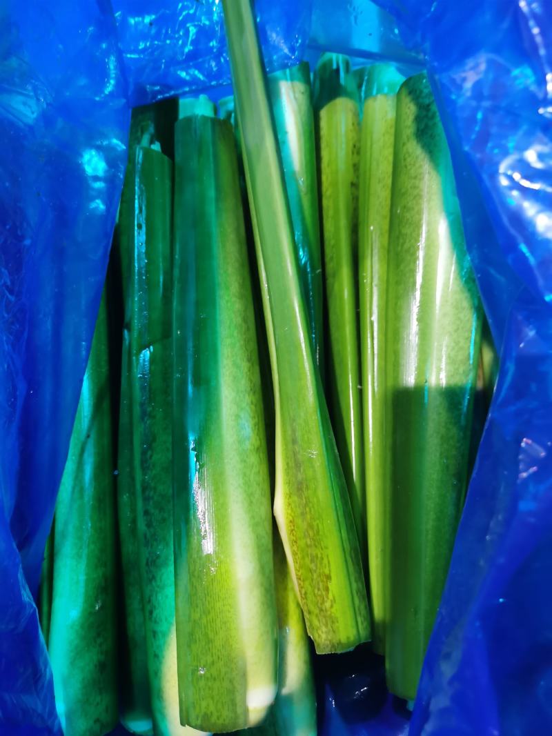 茭白，贵州农业生态天然种植