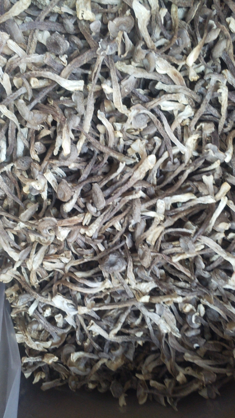 特级干货特级鹿茸菇鹿茸菇鹿茸菇鹿茸菇普通特好