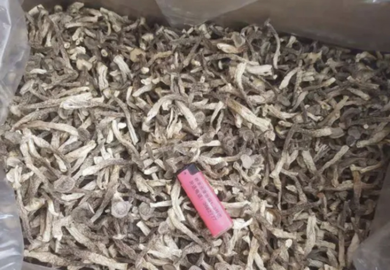 特级干货特级鹿茸菇鹿茸菇鹿茸菇鹿茸菇普通特好