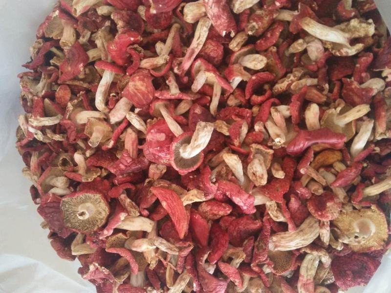 云南野生大红菇特级中菇小菇批发量大从优