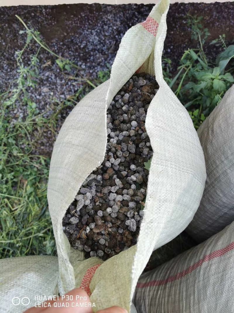 纯羊粪厂家直销纯颗粒羊粪有机肥农家肥底肥