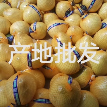 蜜柚，红心柚，白心柚，三红柚，基地直发，无中间商。