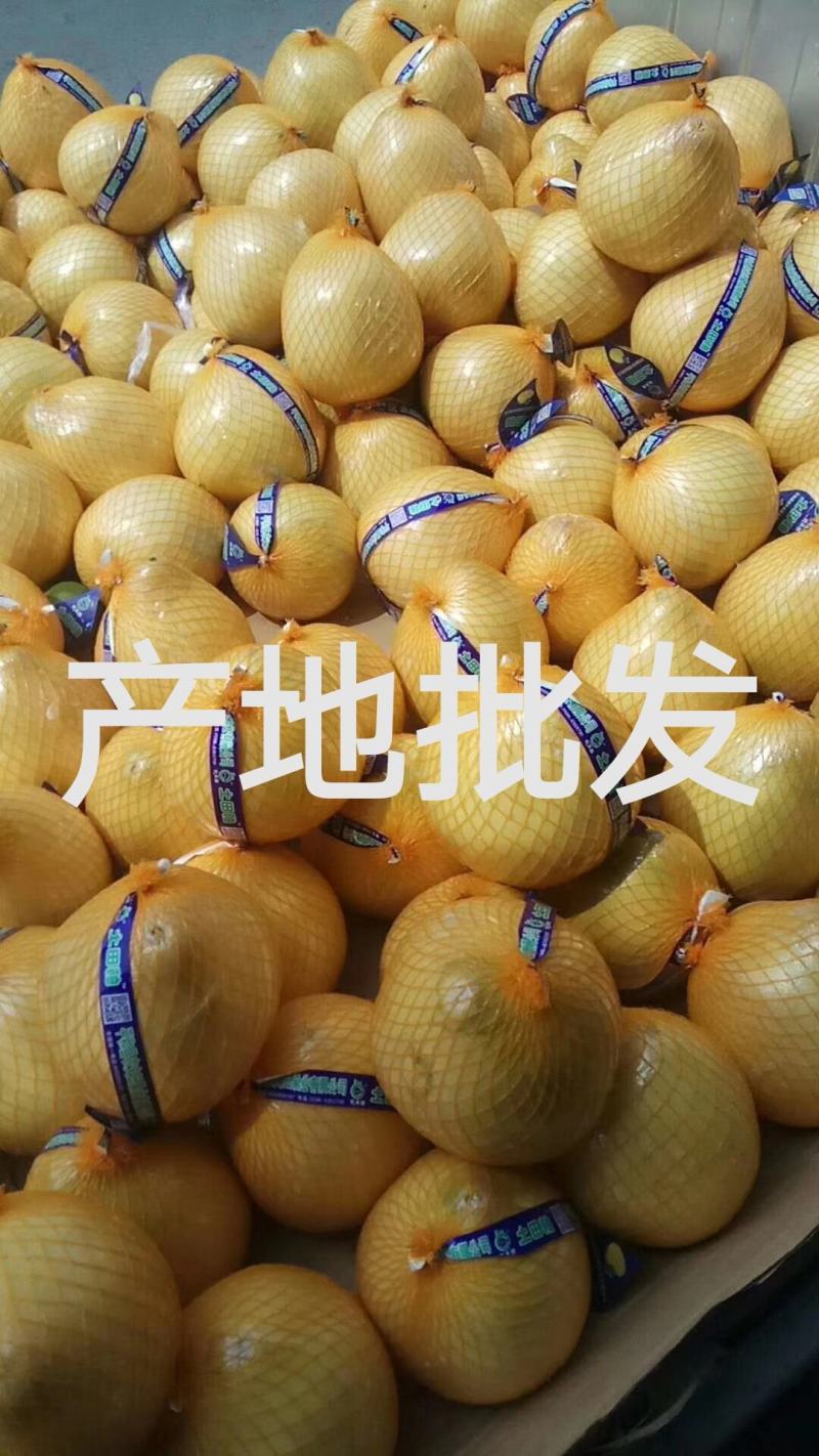 蜜柚，红心柚，白心柚，三红柚，基地直发，无中间商。