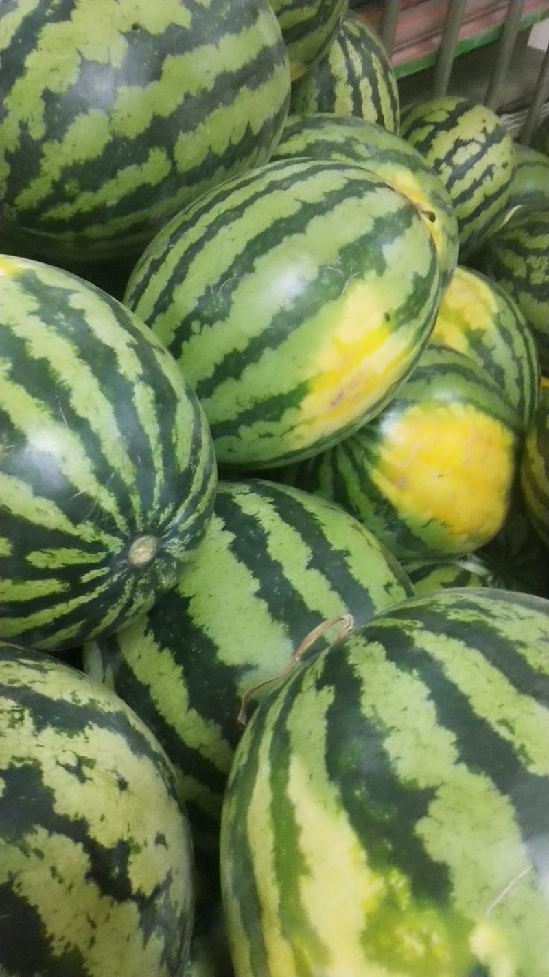 甜王西瓜现以上市欢迎洽谈