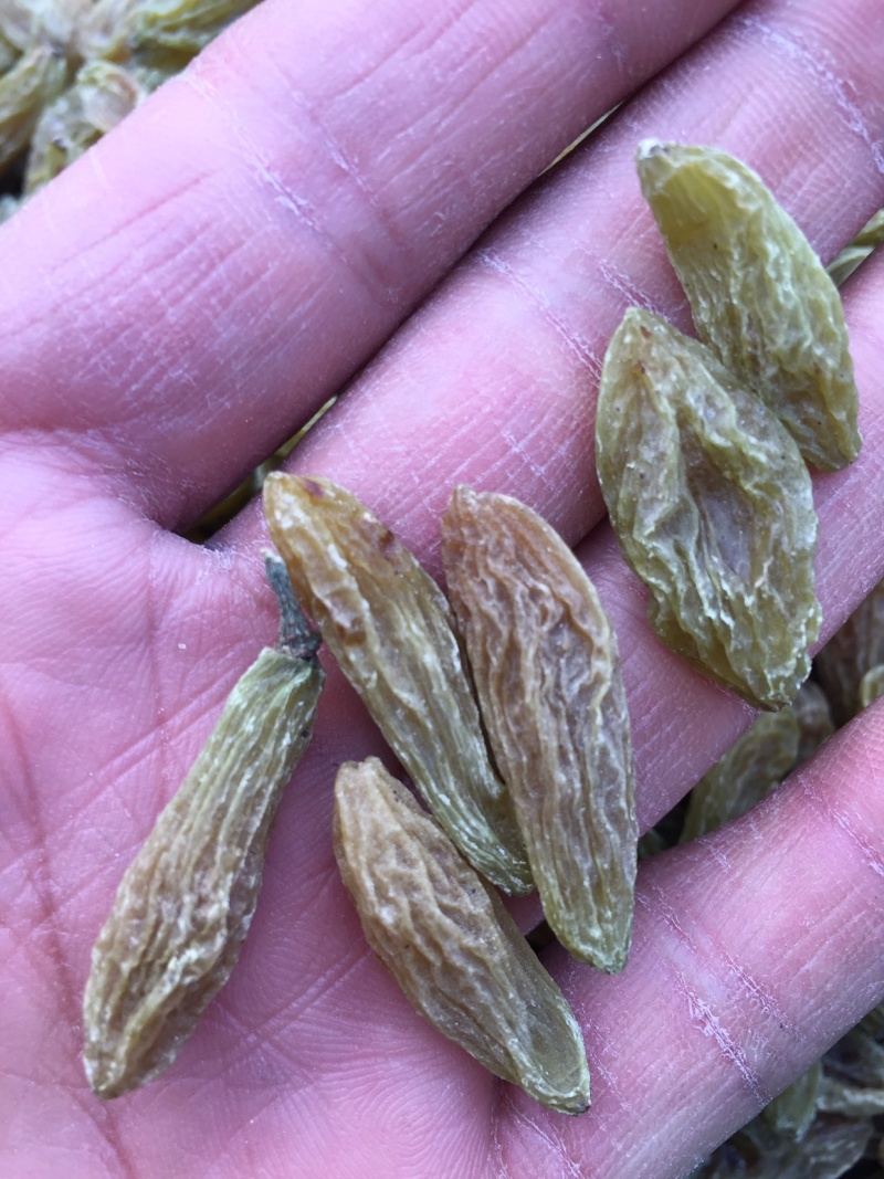 新疆吐鲁番大颗粒葡萄干全国包邮发货