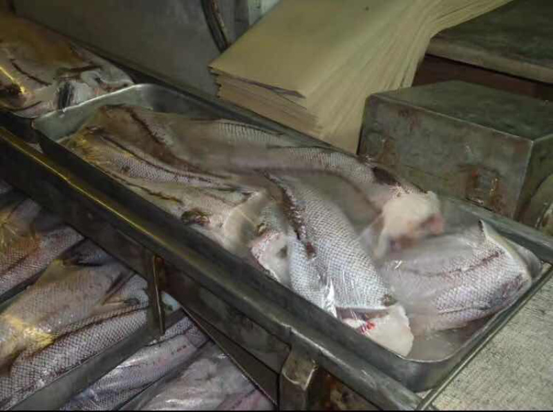 俄罗斯进口原料马哈鱼参考规格参数见色号