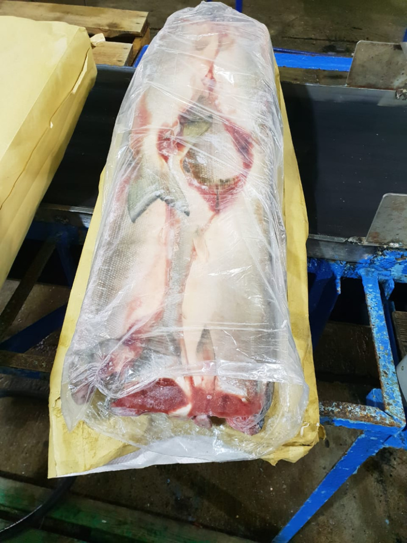 俄罗斯进口原料马哈鱼参考规格参数见色号