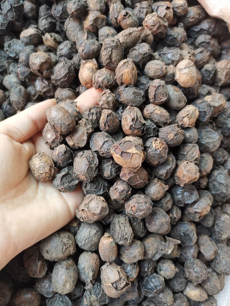 广枣无硫净货广枣可供批发零售广枣量大从优