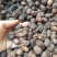 广枣无硫净货广枣可供批发零售广枣量大从优