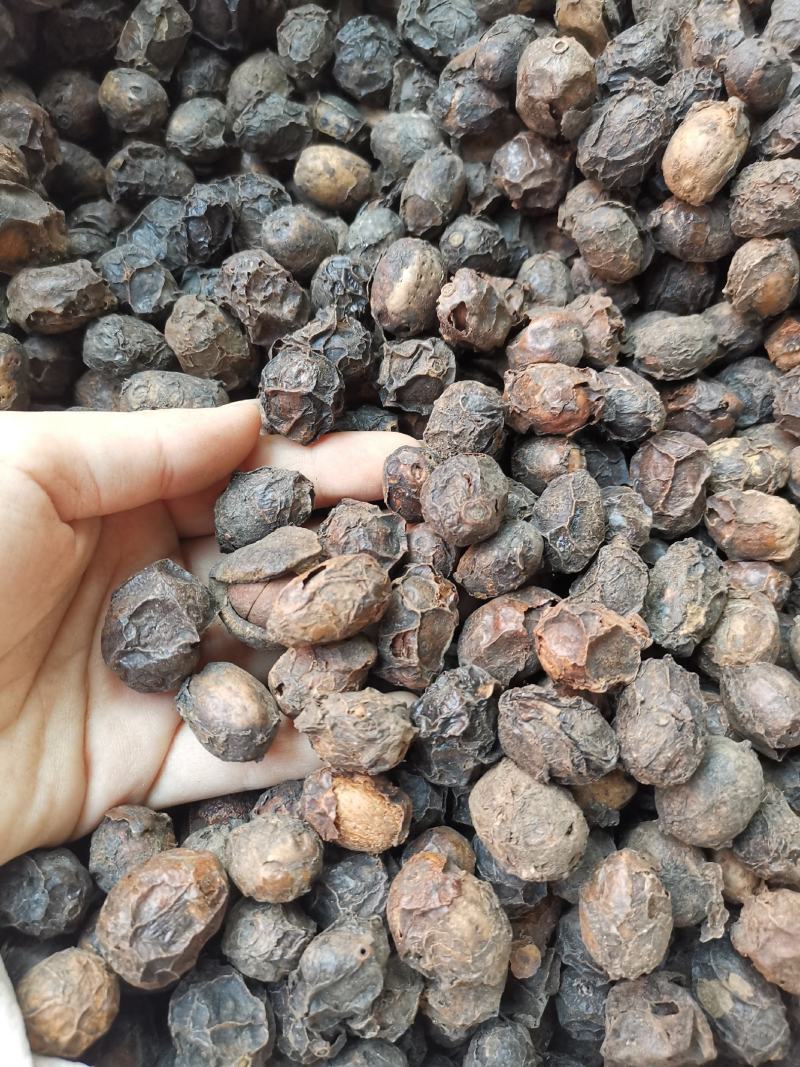 广枣无硫净货广枣可供批发零售广枣量大从优