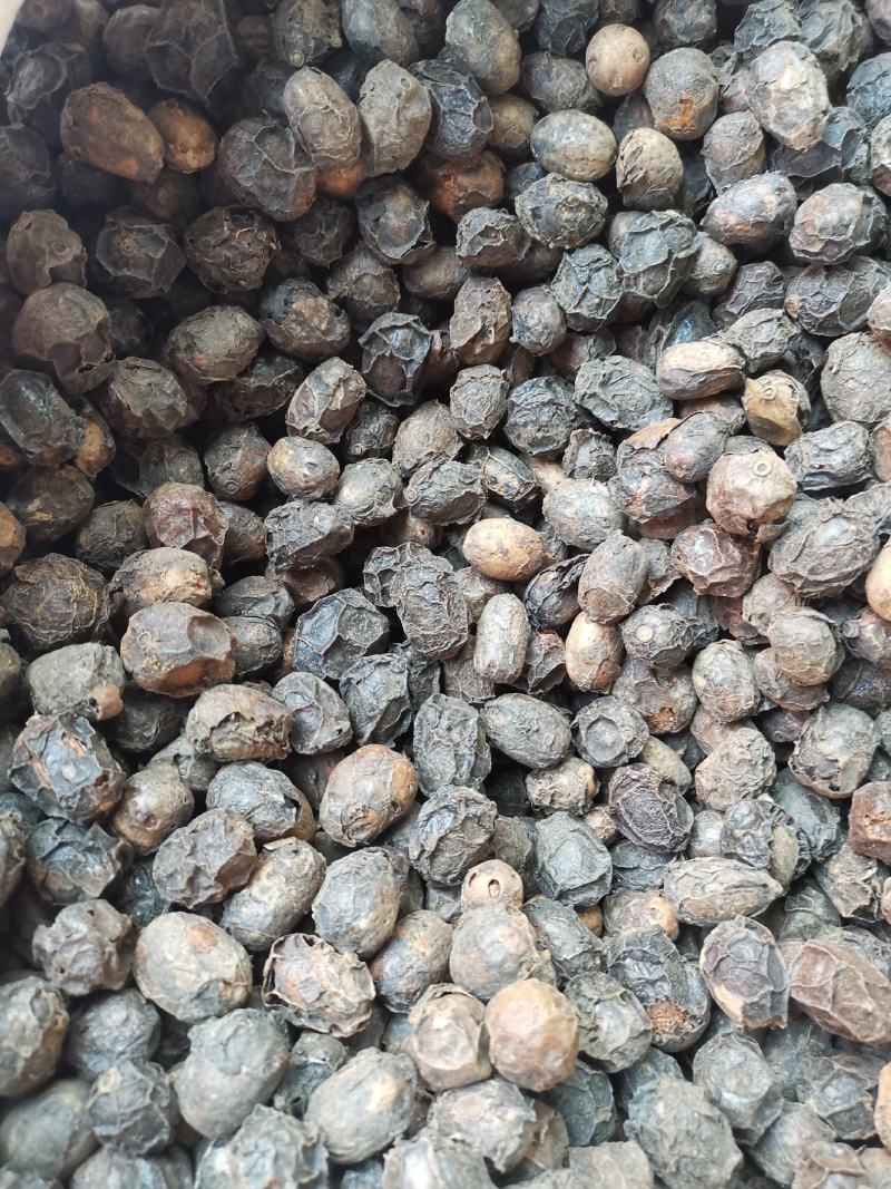 广枣无硫净货广枣可供批发零售广枣量大从优