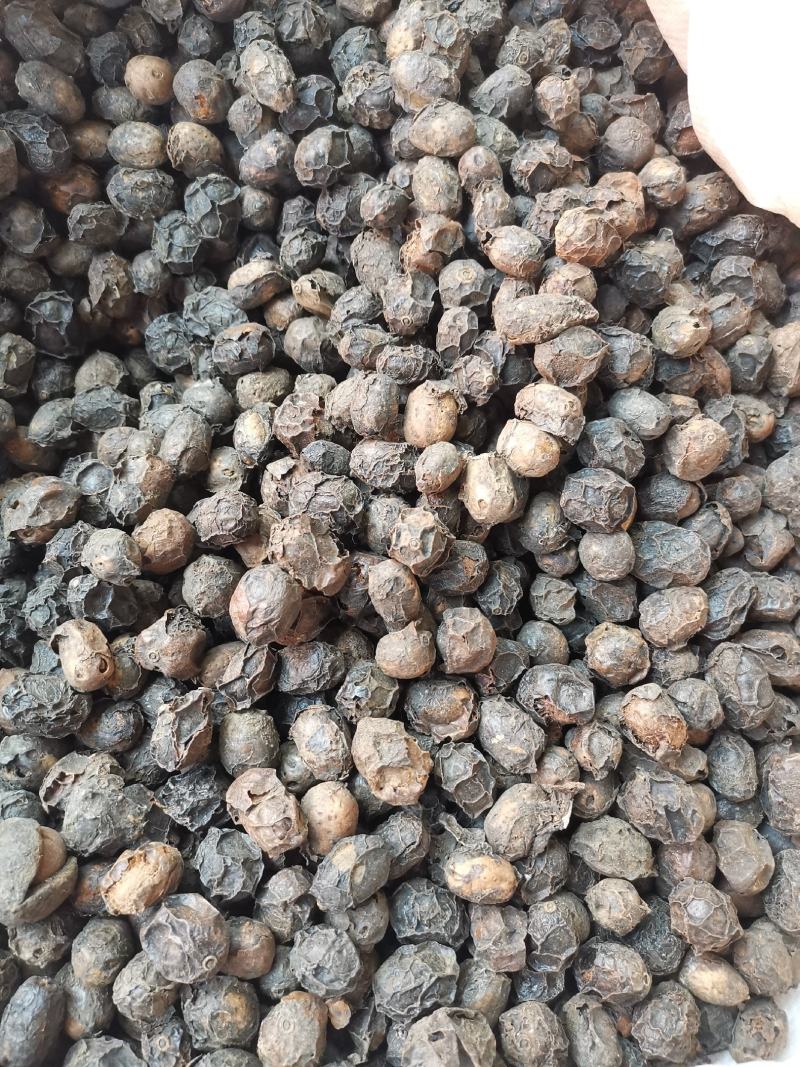 广枣无硫净货广枣可供批发零售广枣量大从优