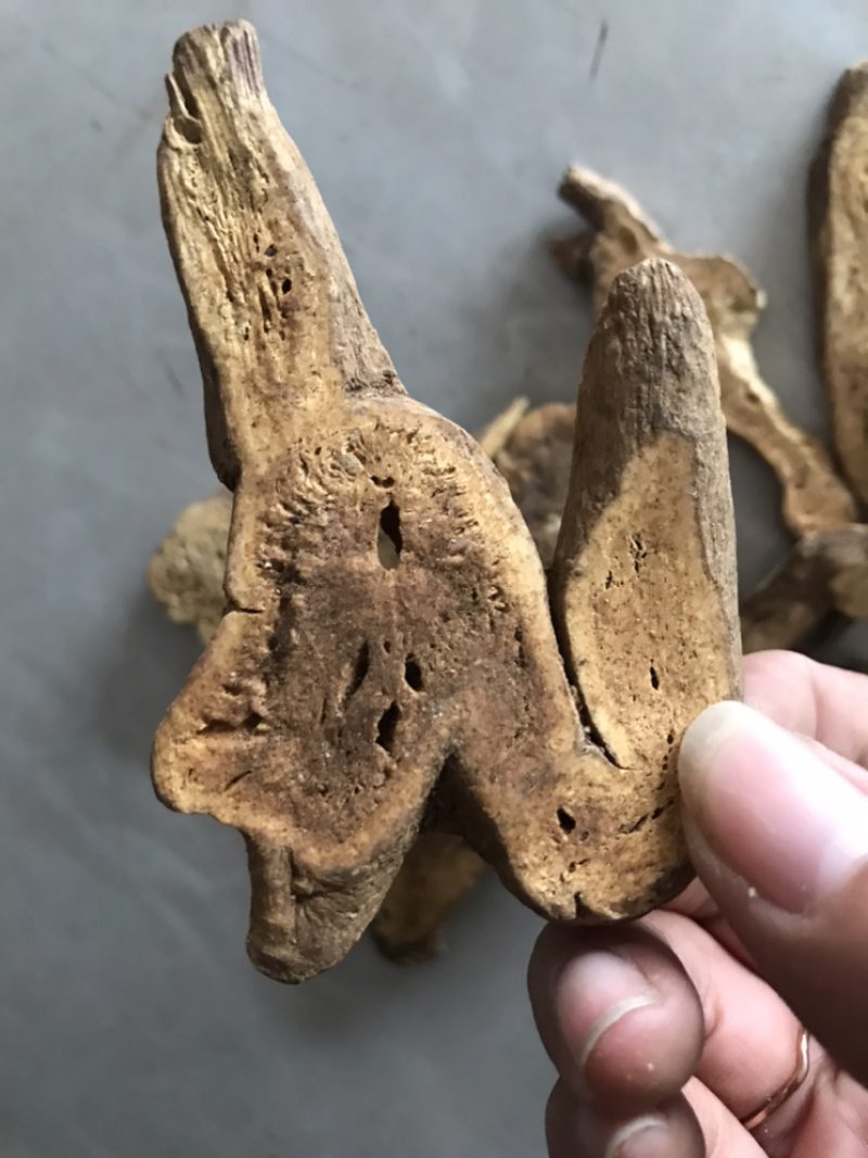 麸炒白术灸白术炒白术发货如图白术