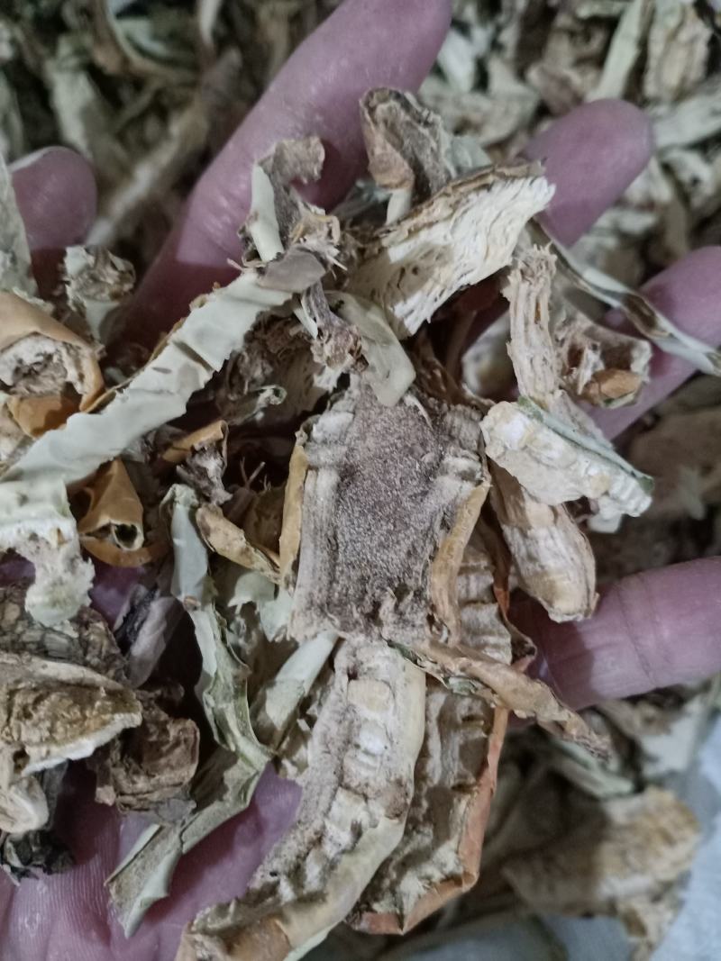 仙人掌，野生仙人掌干货切片质量保证量大从优！
