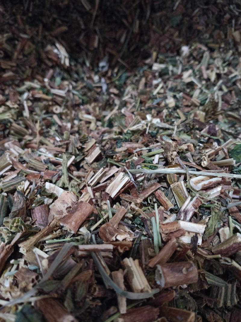 月箭草，月见草切片干净无杂质量保证量大从优！