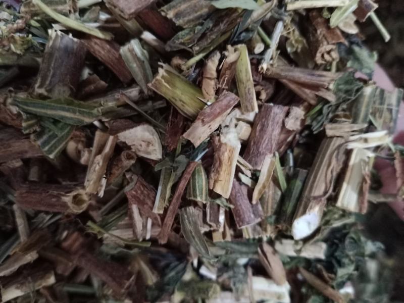 月箭草，月见草切片干净无杂质量保证量大从优！