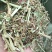 花生秧牛羊草，1-3公分袋装，压块。质量保证