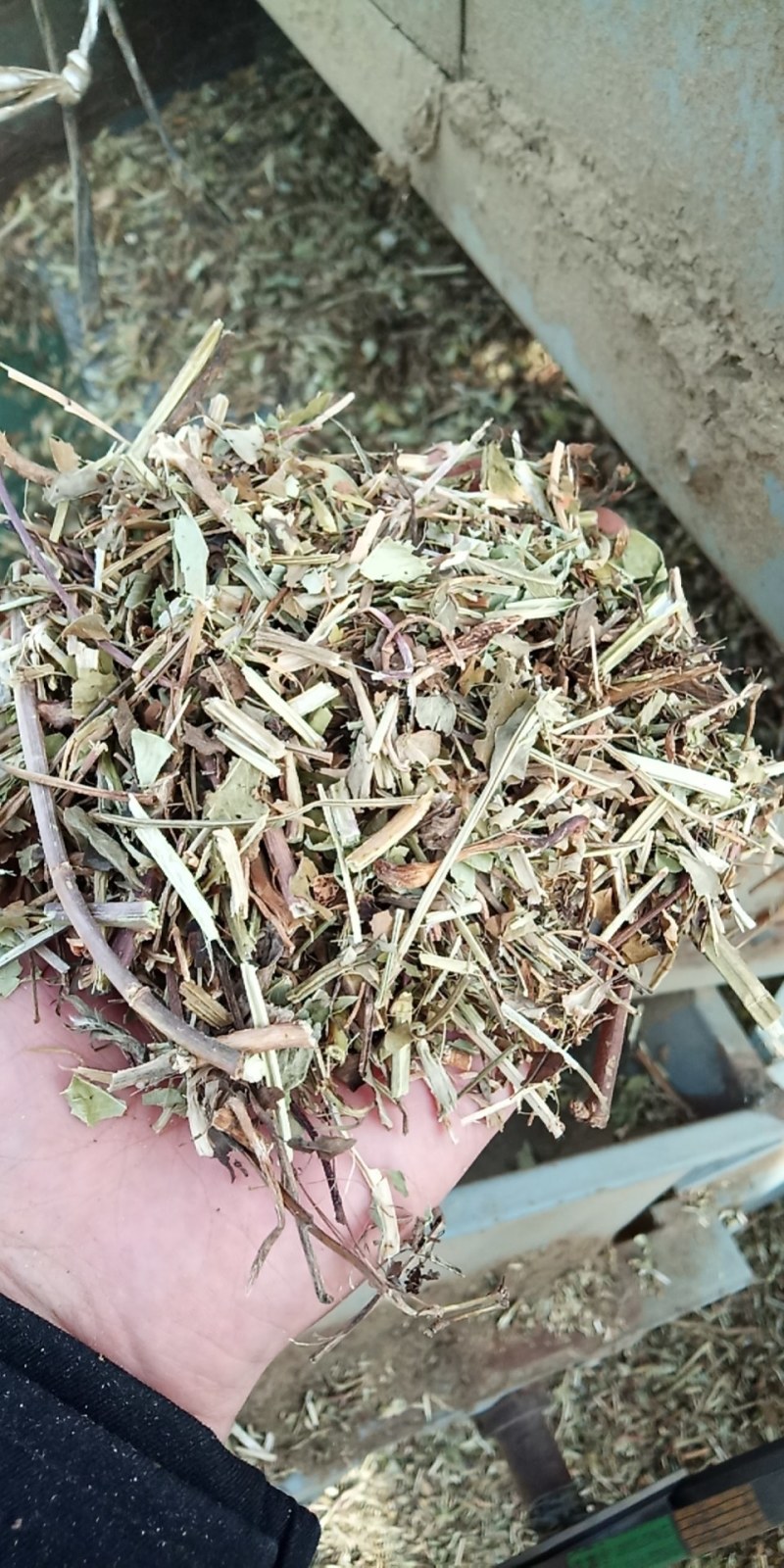 花生秧牛羊草，1-3公分袋装，压块。质量保证