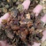 没药，没药统货质量保证量大从优欢迎咨询选购！