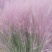 粉黛乱子草花束干花粉黛草花束粉黛草干花基地直发大量上市