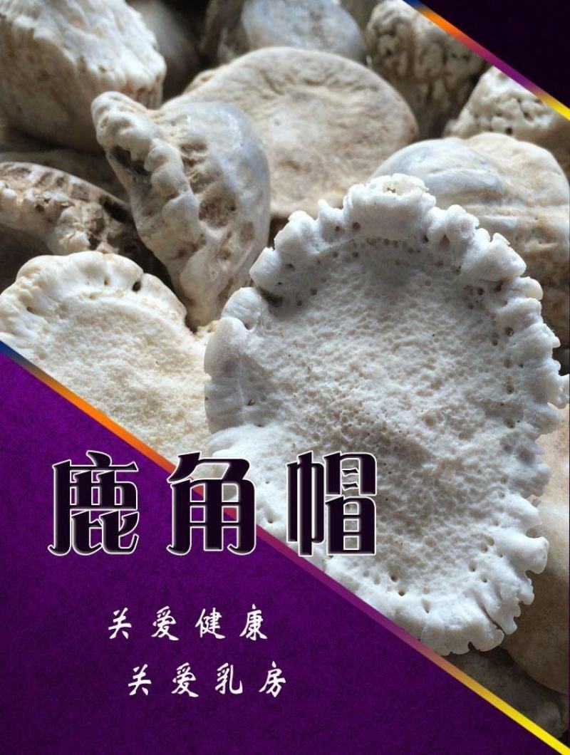 吉林鹿乡双阳梅花鹿角帽整个(代客打粉)