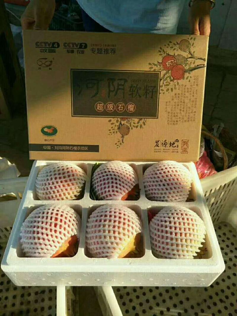 突尼斯软籽石榴5斤小果19包邮，诚招全国代理，一件代发