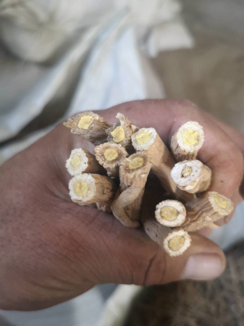 急出售板蓝根大统货20吨