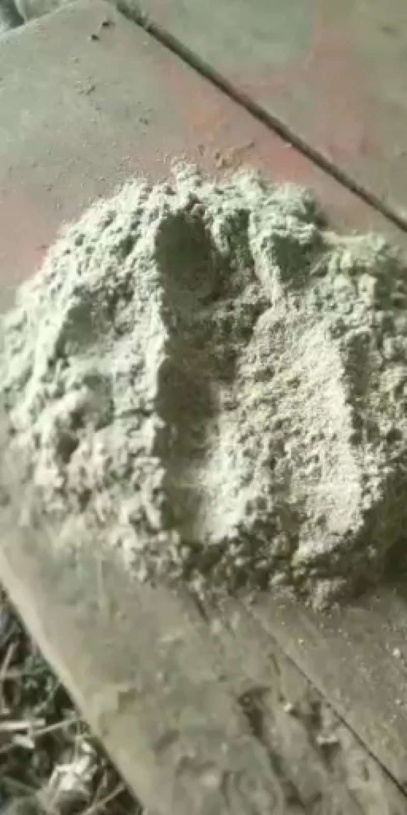 旱莲草旱莲草大货分前期和后中期二种可加工打粉细四十目至六