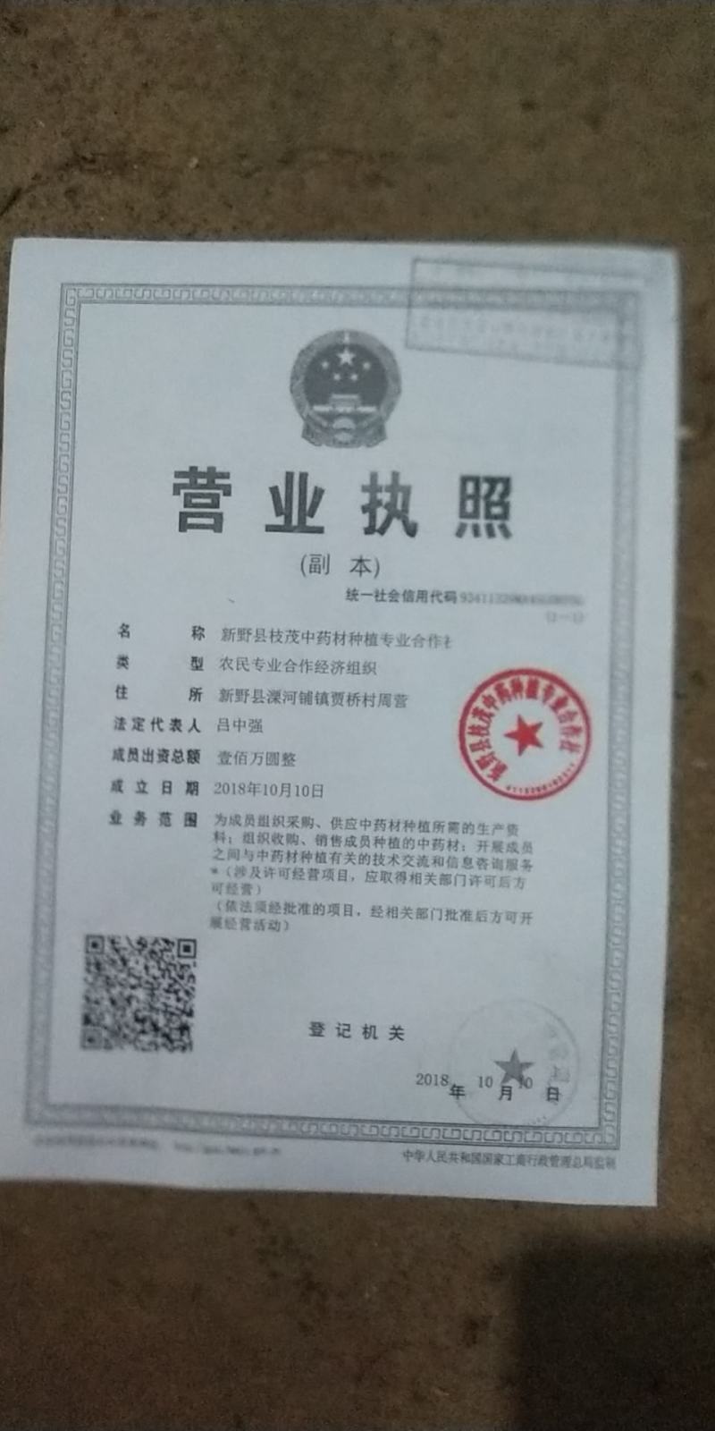 旱莲草旱莲草大货分前期和后中期二种可加工打粉细四十目至六