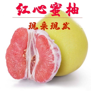 红心柚子现摘现发甜度高，水分足，一手货源