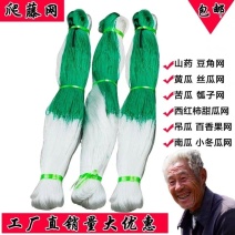 植物爬藤网黄瓜网苦瓜网豆角网南瓜网柑橘百香果攀爬网支架网