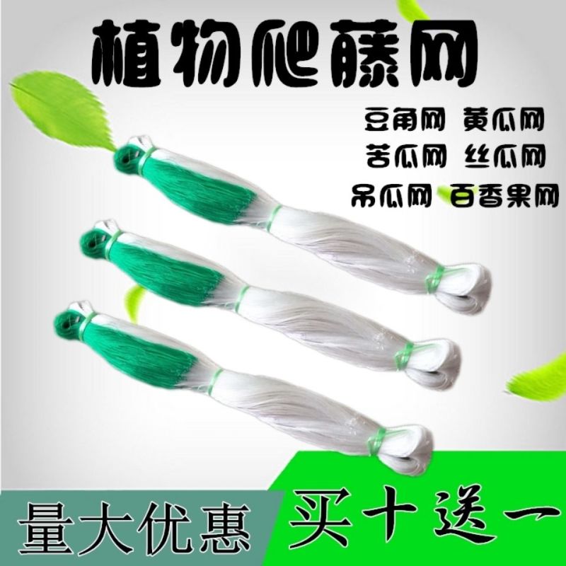 植物爬藤网黄瓜网苦瓜网豆角网南瓜网攀爬网吊瓜柑橘百香果网