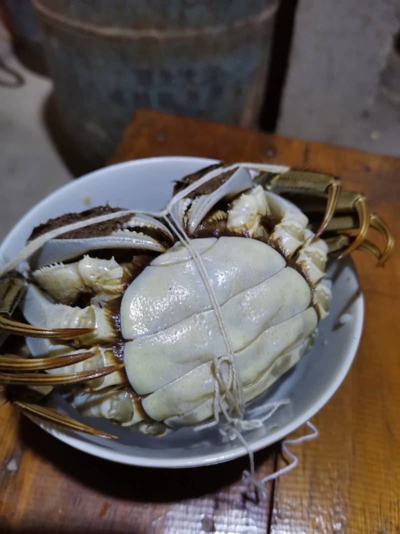 清水生态大闸蟹一仙岛湖特产